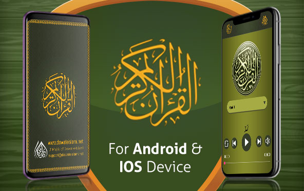 home_developer_thumb_slider_1